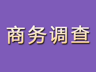 闻喜商务调查